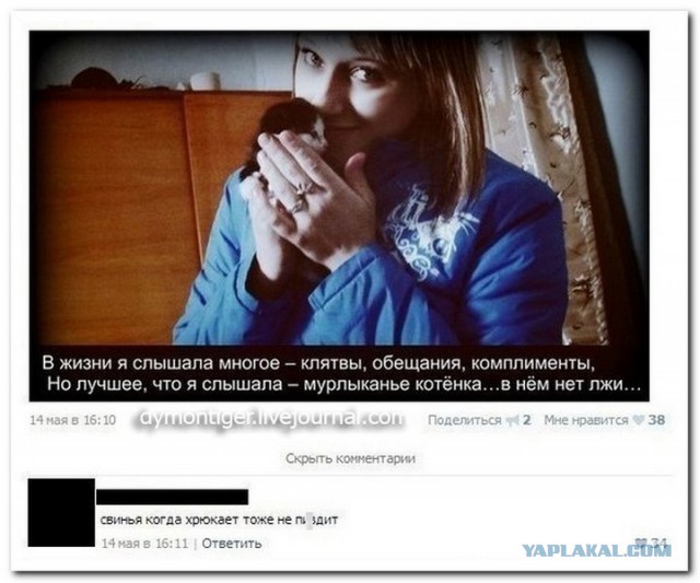 Ужасы и приколы из соцсетей 18+