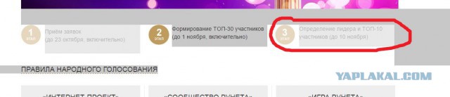 ЯП получил Премию Рунета 2015