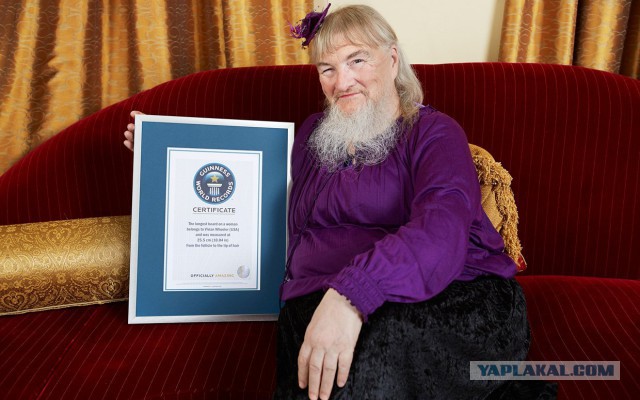 20 занимательных фактов о бороде