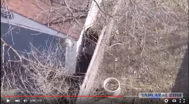 Красивая погоня