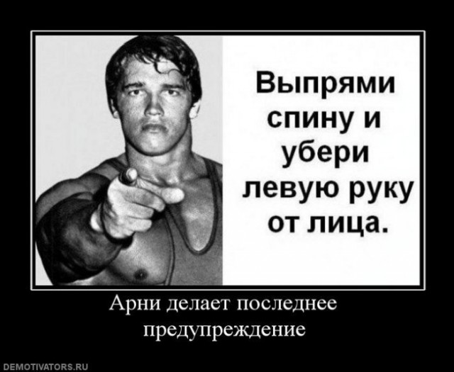 Вспомнить все. Моя невероятно правдивая история - Арнольд Шварценеггер