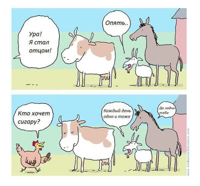 Картинки из сети