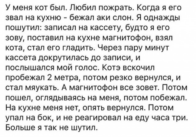 Смешные комментарии из социальных сетей 15.04.2016.