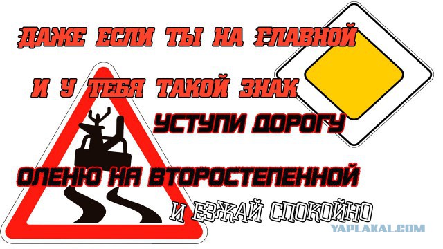 Дура и тормоз