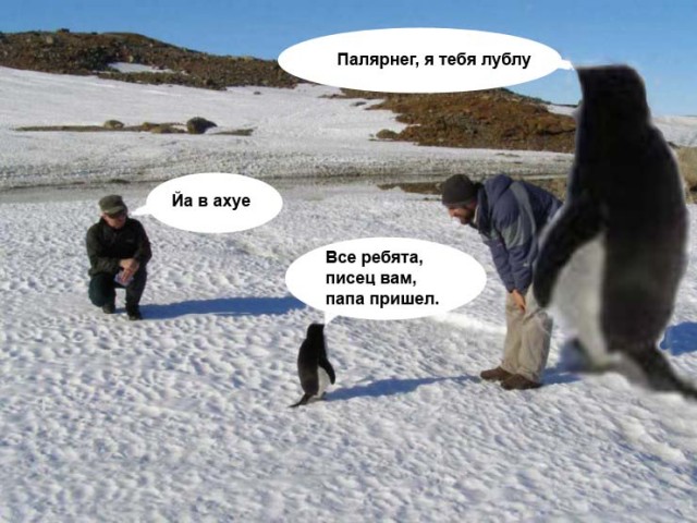 Фотожаба: Полярники окружают!