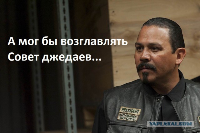 Картинки и приколы из сети