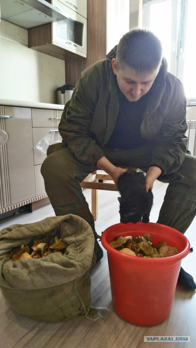Я тоже сходил по грибы