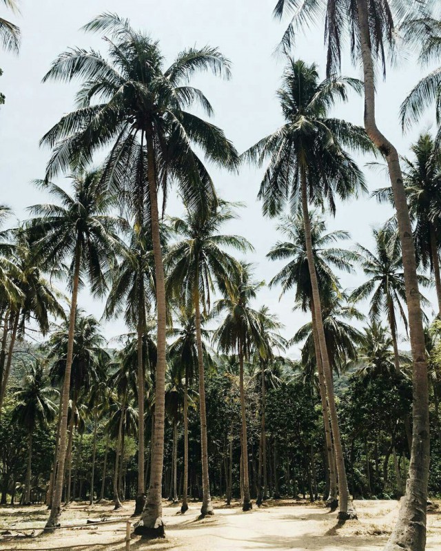 Картинки всякие