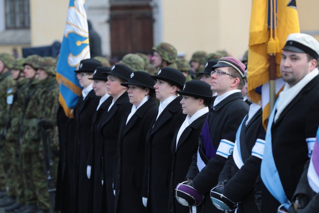День независимости Эстонии. Военный парад 2017