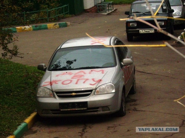 Она не уступила дорогу соседу