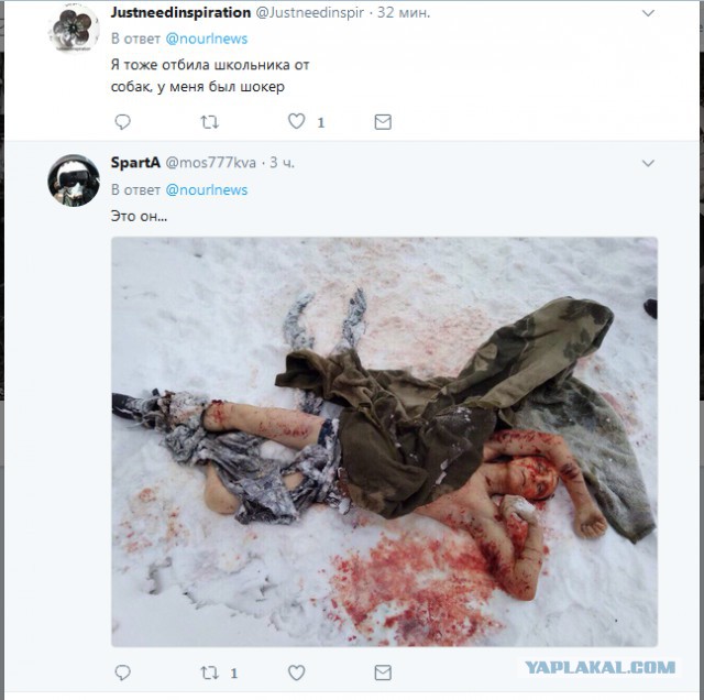 Юрий Лоза о загрызенном собаками парне