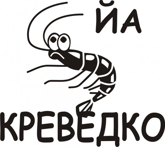 Самые известные мемы в истории Интернета