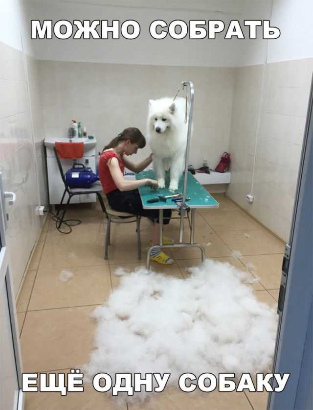 Нестандартный юмор