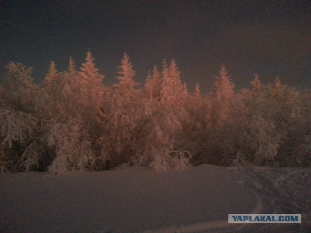 Удивительные снимки с российских просторов