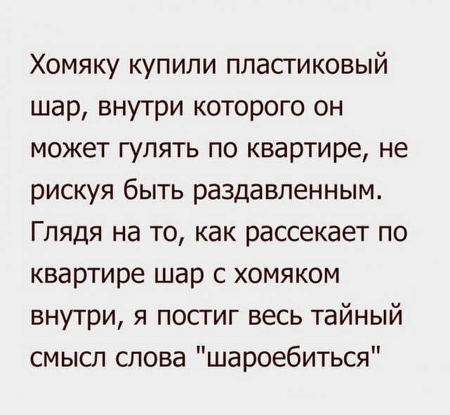 Дурацкие картинки