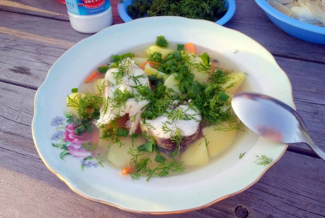 Дачная юшка на берегу Днепра