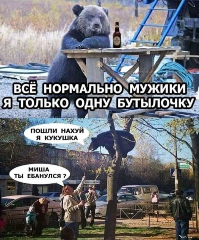 Алкопост выходного дня
