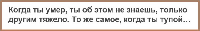 Картинки с надписями, истории и анекдоты 28.12.19