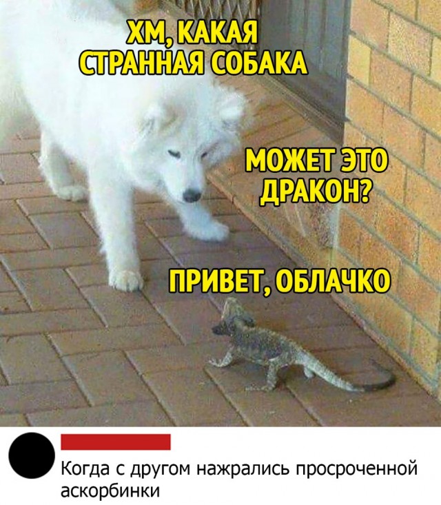 Чуток картинок на 10.01.2020