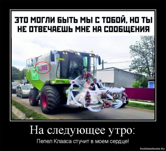 Забавные шутки, картинки и фразы из этих ваших интернетов