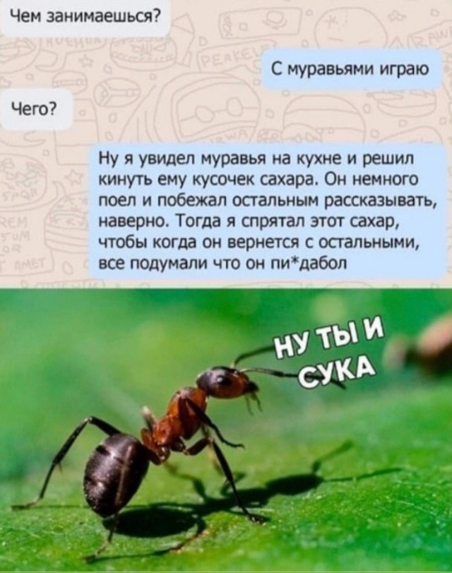 Бредзона 05.04.20