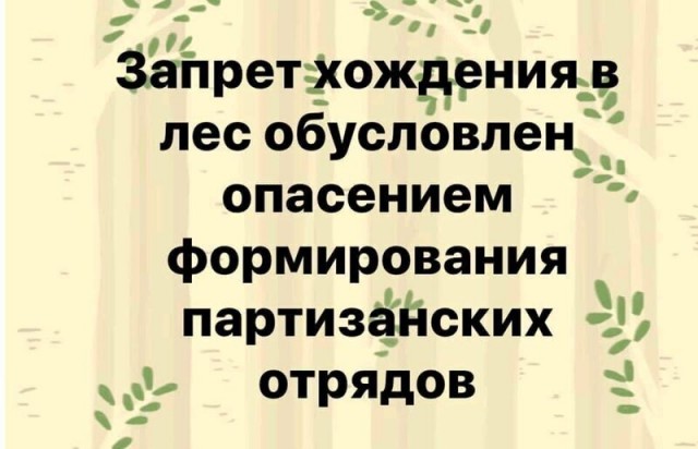 Немного картинок для настроения 08.04.20