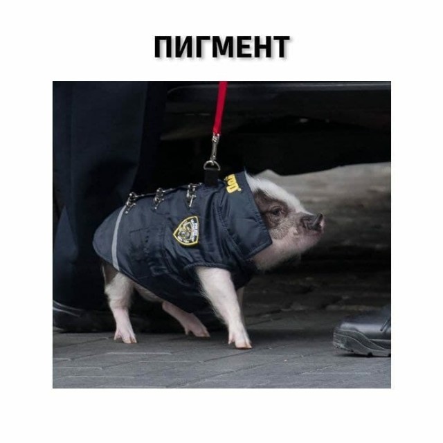 Прошлое, далёкое и не очень - 16