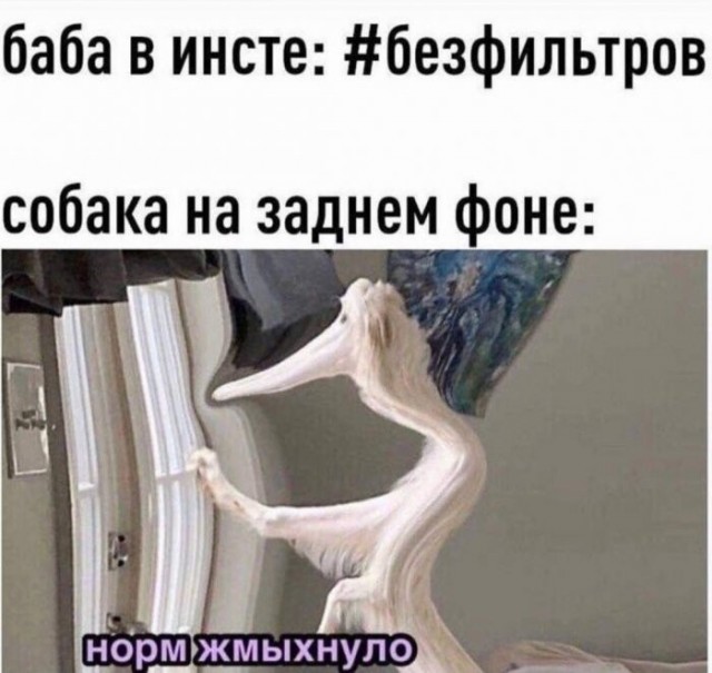 Баянисто-небаянистый юмор 15.06.21