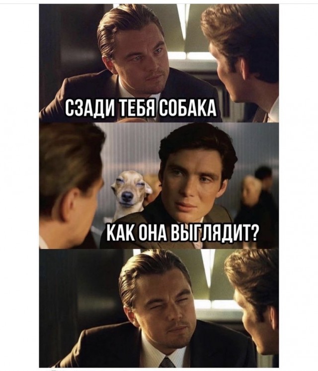 Так себе картинки 20.08.21