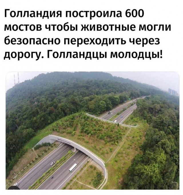 Весёлый полтишок 02.10