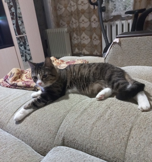 А что это мы котовторник не начинаем? Время пришло!