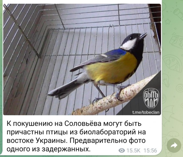 ФСБ задержала группу членов неонацистской террористической организации, планировавших убийство Соловьева
