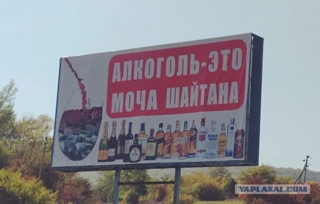 Пандемия. Коронавирус и съехавшие крыши. Россия и мир. Часть 34.
