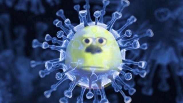 Глава ВОЗ заявил о риске появления более опасного штамма COVID-19