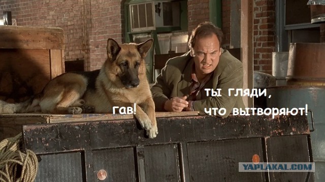 Погоня