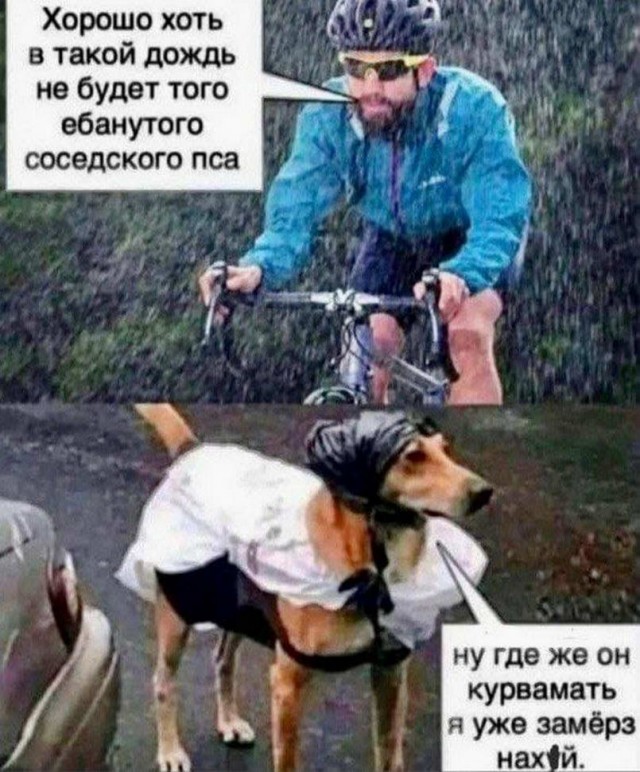 Юмор из Сети 20.06.22