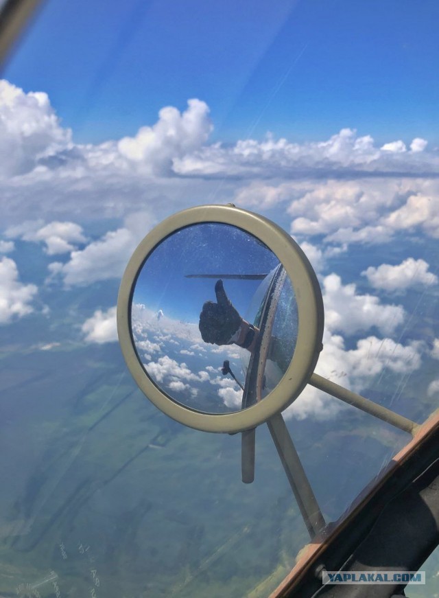 Кошка талисман или АСОшка!