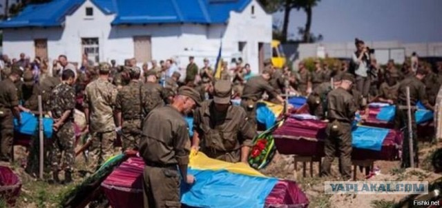 Военные из Мурманской области погибли на Украине
