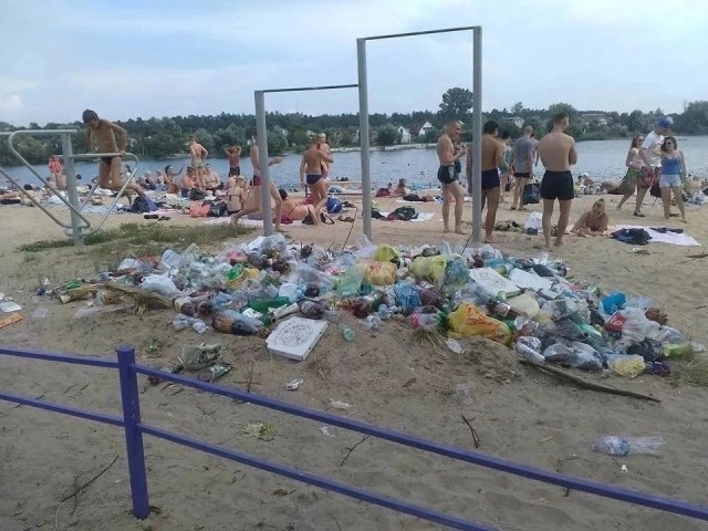Бич Московской области
