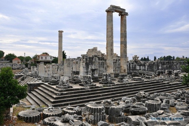 Любовь с первого взгляда