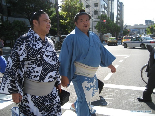 Далёкая Япония