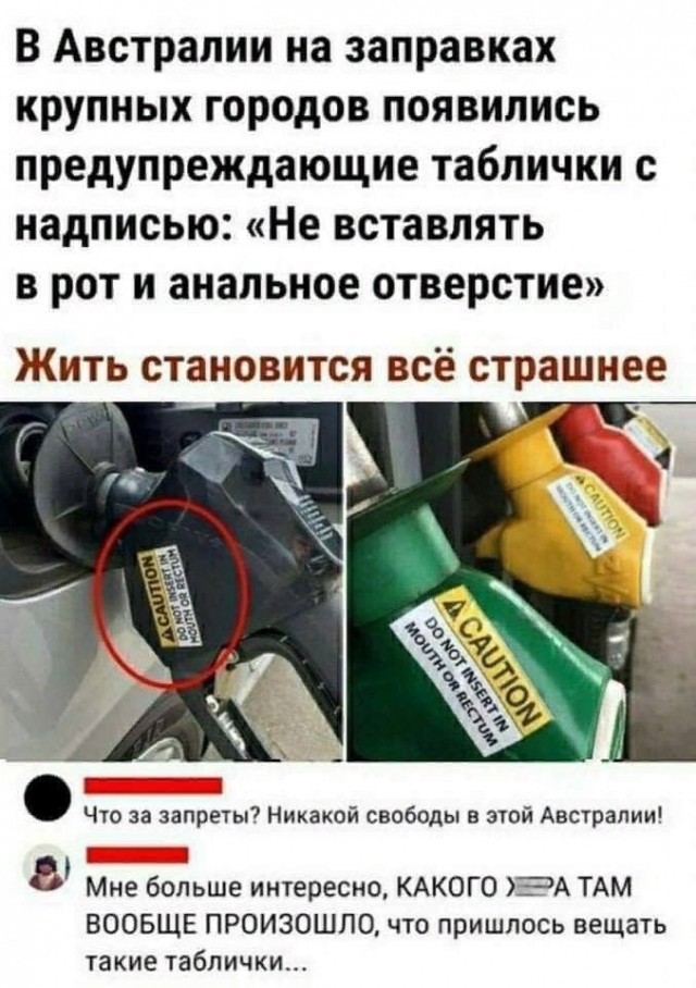 Немного позитива на утро 26.10.2022
