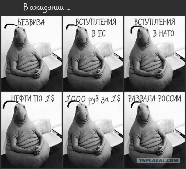 Беженцы в Краснодарском крае 18+