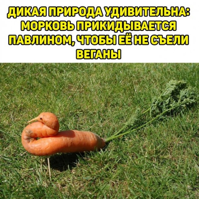 Немного картинок для настроения - 131