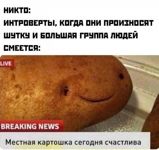 Картинки и мемы для настроения - 125