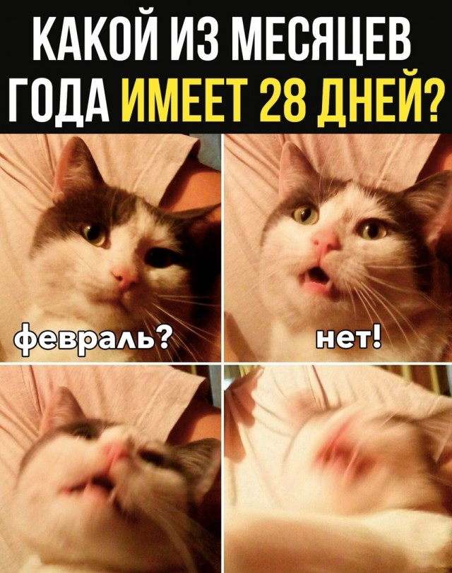Картинки и мемы для настроения - 015