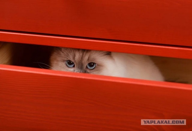 Ушел от жены. Измены. Взгляд любящего мужчины