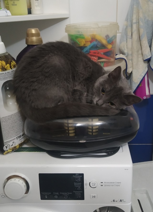 Совпало же? В котовторник