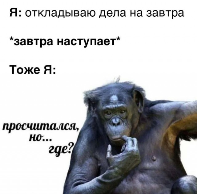 Где это я мем. Просчитался но где обезьяна. Шимпанзе Мем. Я просчитался но где Мем. Просчитался но где Мем с обезьяной