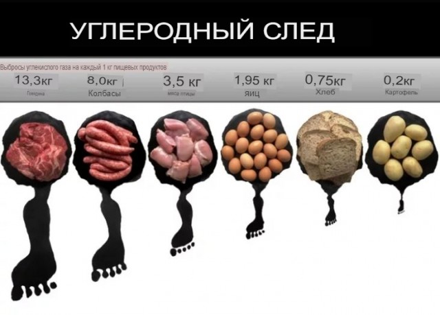 Год назад. Доклад ООН про изменение климата: худшее впереди